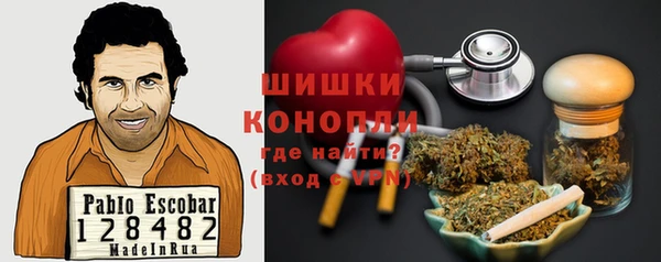 ECSTASY Белокуриха