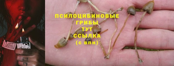 таблы Богородск