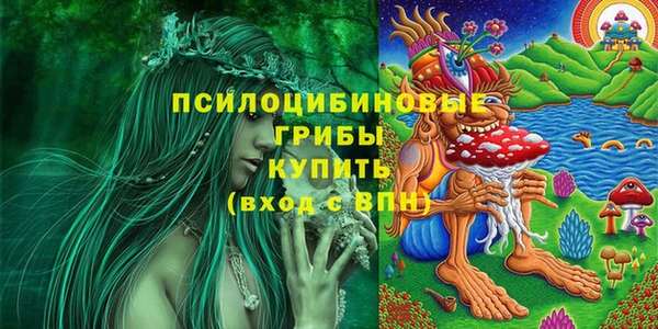 ECSTASY Белокуриха